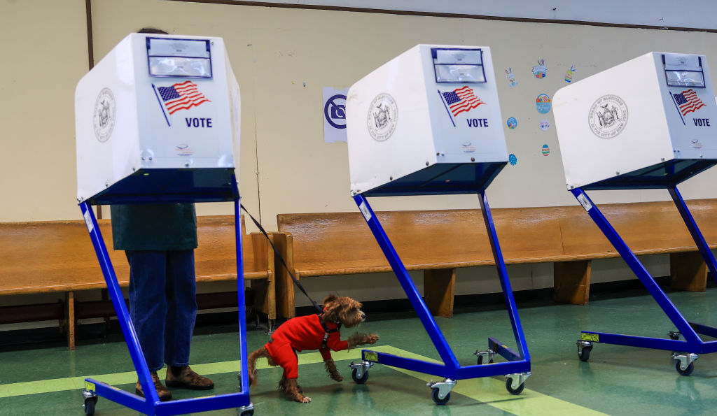 Polling boots are lined up next to each other as a person casts their ballot, while their dog waits besides them.