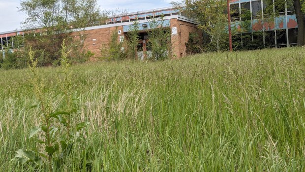 Vacant since 2012, the David O. Duncan Elementary, was part of a sale announced Monday by the Gary Community School Corp. It shares a parcel with Lincoln School and its new owners, Steel City Charter School, who said Duncan will be demolished. (Carole Carlson/Post-Tribune)