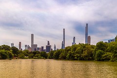 Central Park Flowers, Nature and Landscape 6-2-24