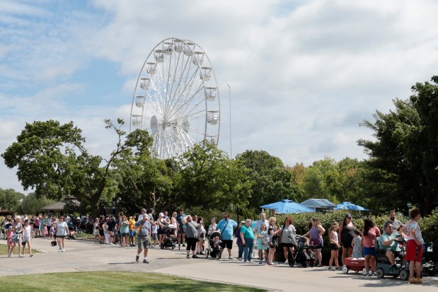 A long line of people stand outside the Hamill Family Play Zoo and wait to see the public debut of two male koalas at Brookfield Zoo, June 18, 2024. (Antonio Perez/Chicago Tribune)