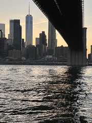 Under the Brooklyn Bridge