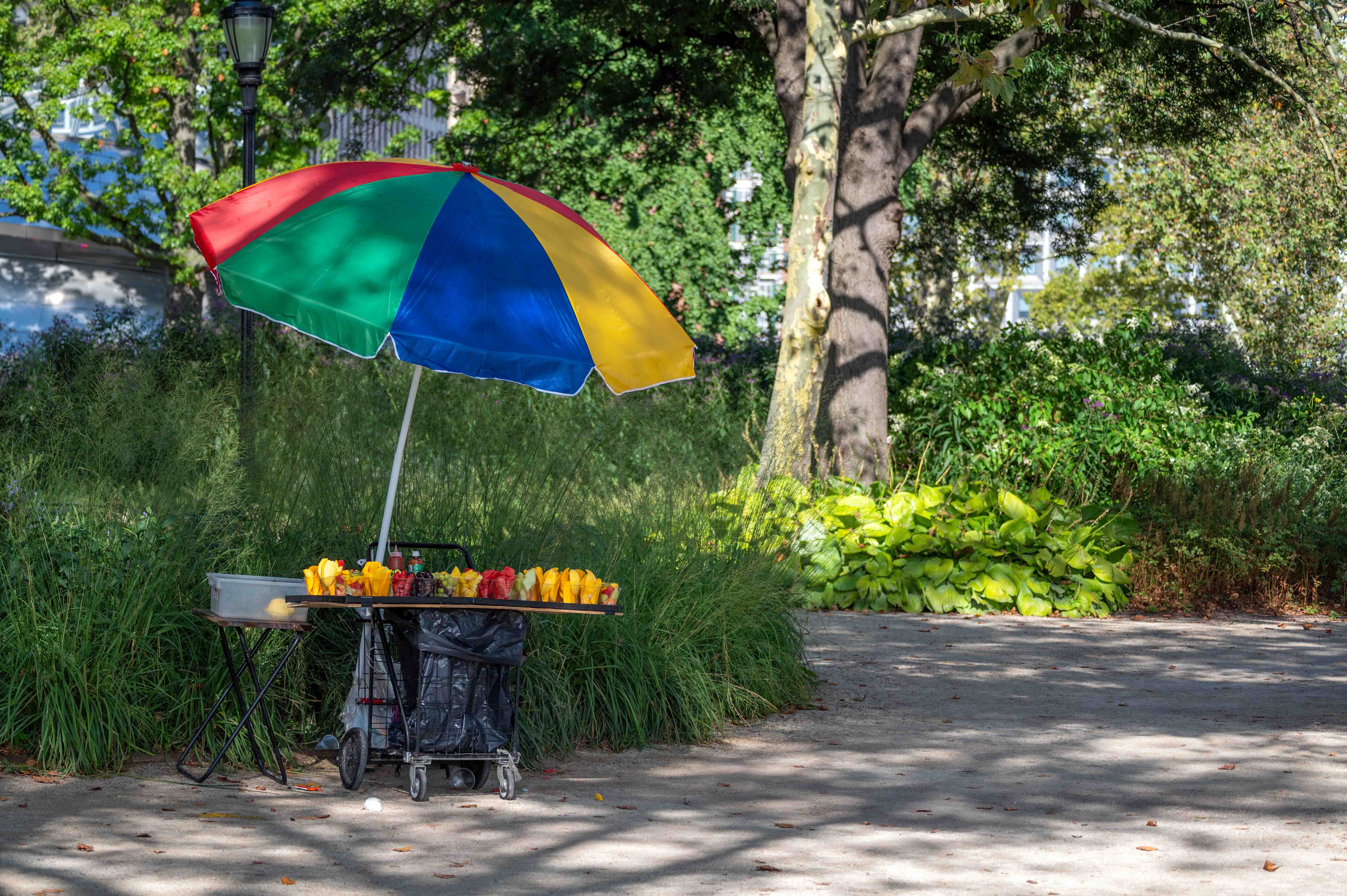 A fruit vendor stand with cut fruit in clear plastic cups on a walking path under the shade trees in Battery Park.