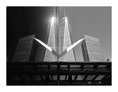 New York • WTC ONE