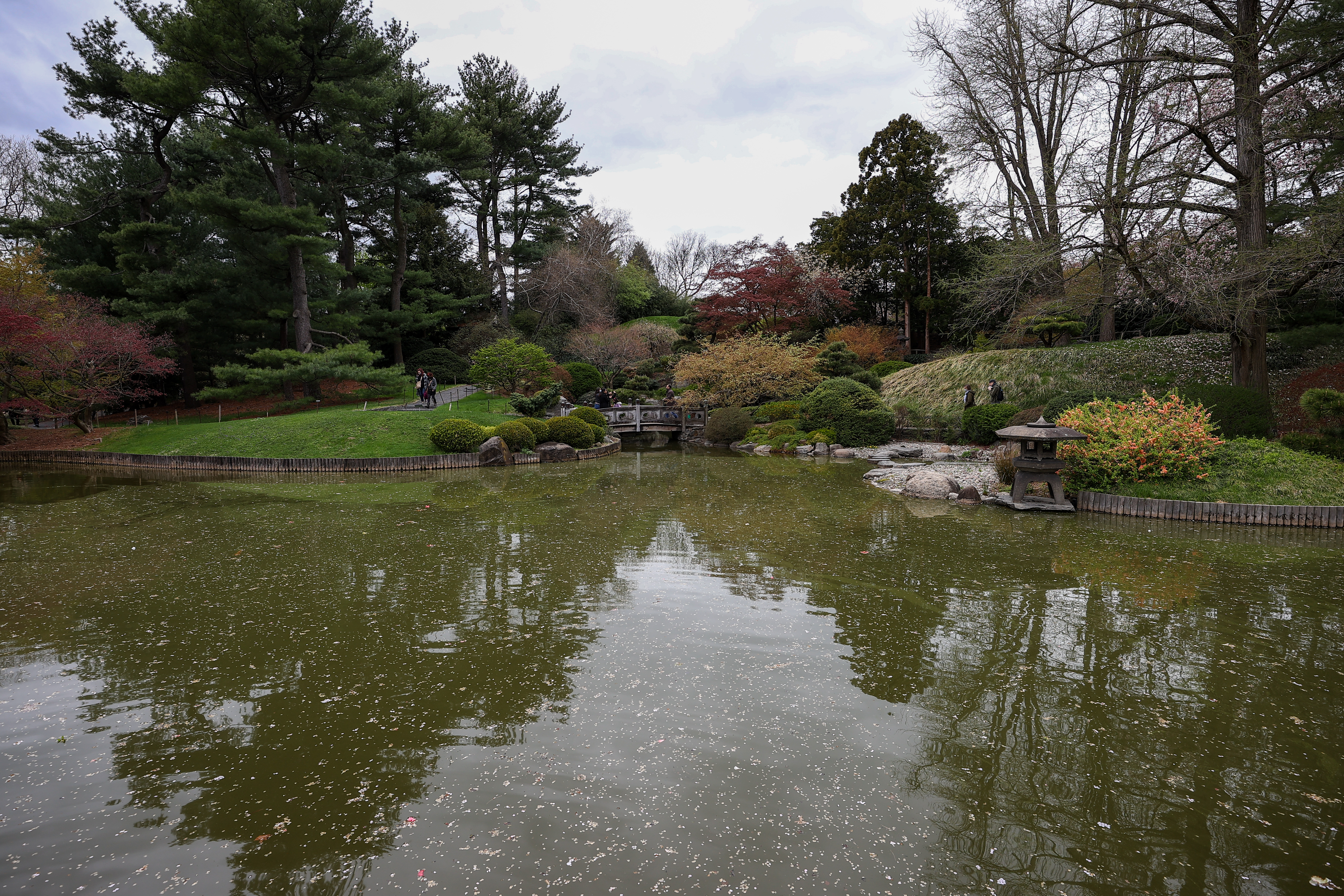 A pond at the Brooklyn Botanic Garden.