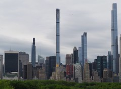 Roof Garden View